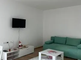 Apartment Una