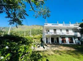 Happy Life Mount View