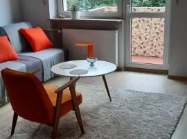 Apartament Centrum przy Parku Zdrojowym