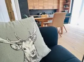 Family 2 bedroom Ski&Bike Apartment with Terrase