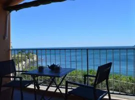 Appart familial 6 pers Banyuls-sur-Mer clim, parking privé, proche plages - FR-1-225C-57