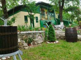 Căsuța fa rai din ce ai, villa in Buzău
