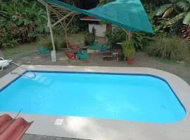 Selva Linda Lodge jungle wildlife vue and birdwatching