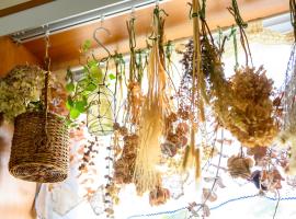 Fujiyoshi, pensionat i Nozawaonsen