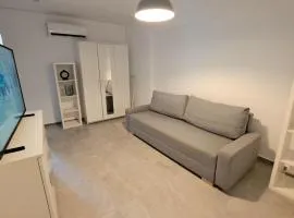 Ris studio dublu universitate, centrul vechi