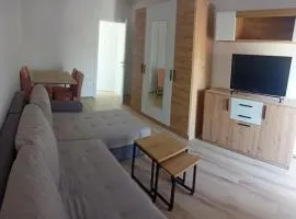 Lane Apartmani