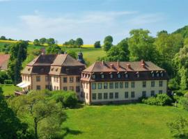 Luxus Wohnung im Schloss 85 m², hotel in Zeitlofs
