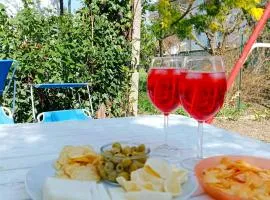 Valle Rubicone