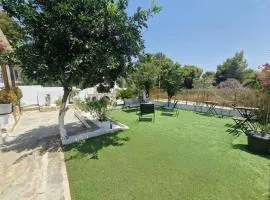 Elmy houses v1 / Calliope