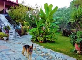 Cottage House,with big garden & lawn, apartament a Amaliás