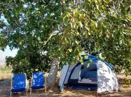 La Sosta del Viandante - Camping, khu cắm trại ở Muro Leccese