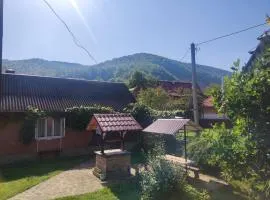 Borgaza