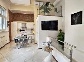 Luxury Loft - Milano Centrale