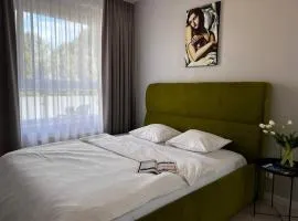 EUROPA22 "Apartament Delux" z wanną - CENTRUM MIASTA BROWARNA z widokiem na staw z fontannami