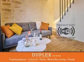 Duplex standing 7min➤Fontainebleau-INSEAD⎮45min➤Paris