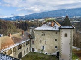 Château De Montpon - Grand logement, cheap hotel in Saint-Sylvestre