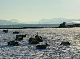 Warm and cozy cottage, Great location, hotel bajet di Kvaløya