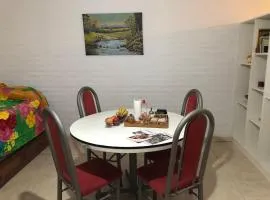 Departamento céntrico a estrenar