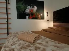 Puffin Nest, Superior Apartment