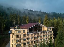 Готель У Борисовича & SPA, hotel v destinaci Paljanycja
