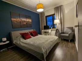 Wonderful and spacious city center apartment - own carpark