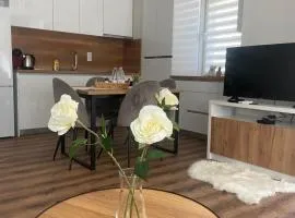 M&M Center Apartment with free parking