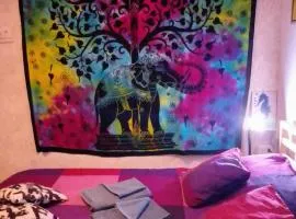 EL PEQUE DE TAMAIDE Tenerife Sur