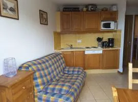 Paradiski proche des pistes plan peisey