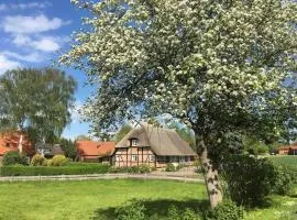 Haus-Ruhe-unter-Reet