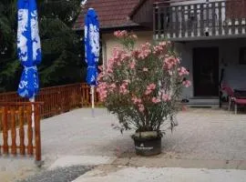 Ferienwohnung 2 Jöbstl