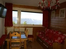 2 pièces cosy au pied des pistes avec équipements complets - FR-1-557-70