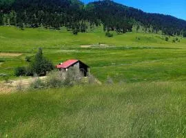 Lia's Guest house Tsvirmi