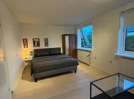 Room in Billund near Lego House & Legoland