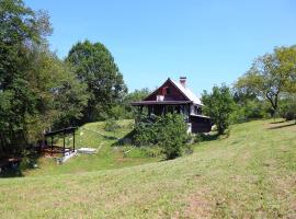 Family friendly house with a parking space Zdihovo, Gorski kotar - 20491, hotel en Bosiljevo