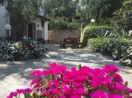 Azienda Agricola B&B Macchiaria