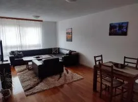 Lovely 1-bedroom condo in Travnik