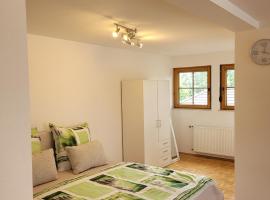 Appartement im Schwarzwaldhaus, апартамент в Hüfingen