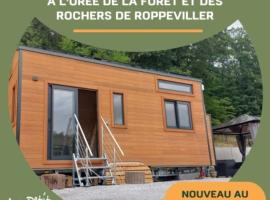 Au Petit Rocher, hotel with parking in Roppeviller