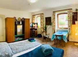 Apartment Amelie - Zimmer mit TV, W-Lan, Mikrowelle und Kühlschrank, Bad mit Dusche, hotel in Malterdingen