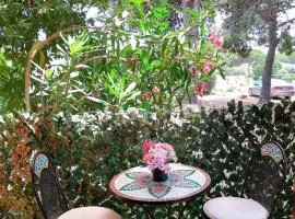 Domus Oleanders