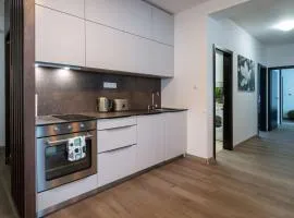Apartmanica Triangel 222