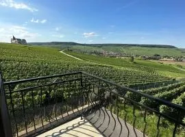 AU COEUR DU TERROIR CHAMPENOIS