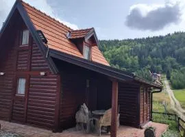 Vila Carobna suma Tara