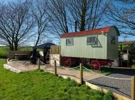 The Shepherd's Shed at Accott Manor