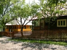 Casa de vacanta Padis