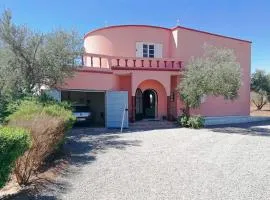 Olivenparadies