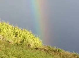 Waipio Studio Apartment