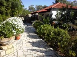 Villa Elvira