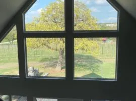 Hamilton Pool Vineyards & Farms