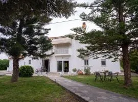 Stefano's Home